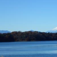 Windows11 24H2にして、今頃気が付いた、ワードパット廃止になっていた
