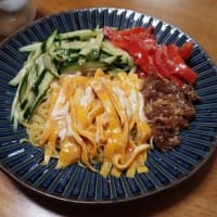 冷やし中華はじめました