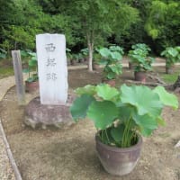 第3回目　大和１３佛霊場　午後のお参り　第２番・西大寺へ