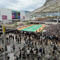 阪神競馬場
