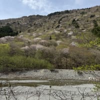 虹を観察しに奥地へ