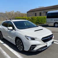 家族でお出かけ