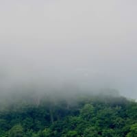 2025.07.05(土)AM06:54の藻岩山・平和祈念塔・三角山・円山