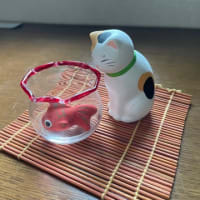 追っかけニャンコとアジのなめろう