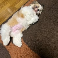 カットに行ってきました。