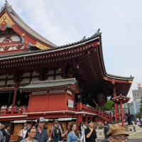 浅草　三社祭