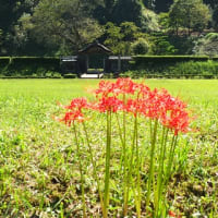 新幹線が通る前の福井旅