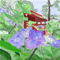 水彩画　紫陽花