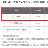 iPhoneを、毎月２９９円だけで、遊んでいる？ その確認方法も