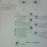 少年初心水泳カリキュラム　３　壁キック