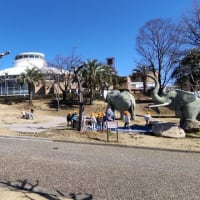 芝生広場：象さんと園児