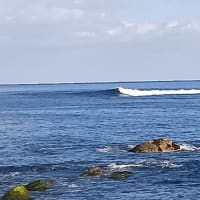 新年あけましておめでとうございます♪