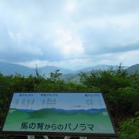 展望がなくても大丈夫 ！　蛇峠山