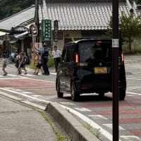 ◆  裏山の剪定