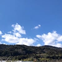 いよいよ始まるガラシャウイークDay