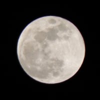 弥生の空に満月ぷかり♪