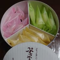 「鈴廣かまぼこ」