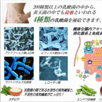 新型肺炎【コロナウィルス】対策サプリメント！セルエナジーセット