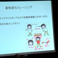 はつらつ体操教室に参加しました