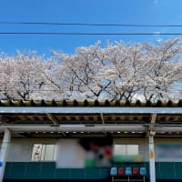 4月🌸