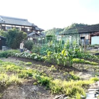 6月20日(金)②