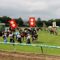 2017年7月29日相馬野馬追