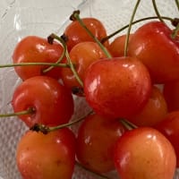 🍒さくらんぼ🍒