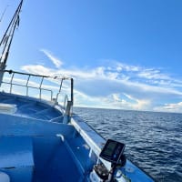 The Last Cruise