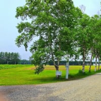 北海道３