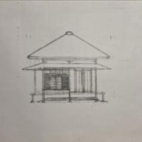 朝日記250701―花逍遙―シホカラの薄水色がおつとりと住香
