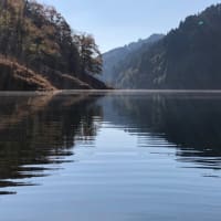 明けまして おめでとう ございます 🙇‍♂️