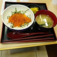 東京発のツアーでタウシュベツ川橋梁へ
