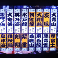 9/9 十両　初日　結果