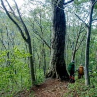朝日連峰　山開き　2025.06.14～15