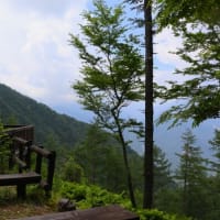 夏の櫛形山（山梨県百名山）