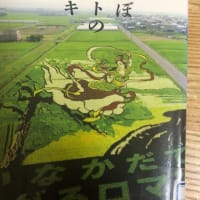 日記24