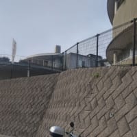免許センター