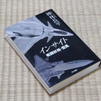 インサイト 戦闘妖精・雪風