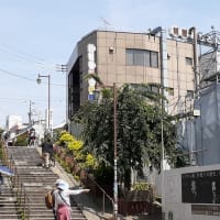 「夕やけだんだん」周辺工事中