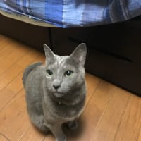 在宅勤務病。