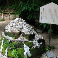 サンメッセ日南2025年
