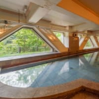 定山渓ビューホテル　日帰り温泉　（定山渓）