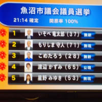 市議選狂騒曲