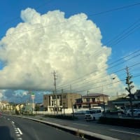 上陸大師像