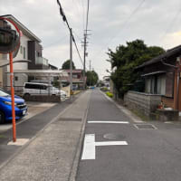 町内のメイン道路