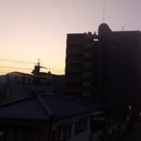 2025年6月19日（木）晴。