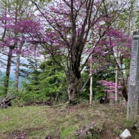 長沢背陵〜秩父へ