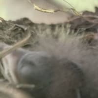 ようこそ、我が舎へ