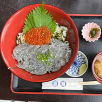 久しぶりに