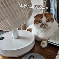 来客